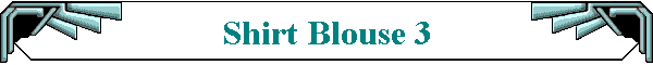 Shirt Blouse 3